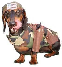  army dog