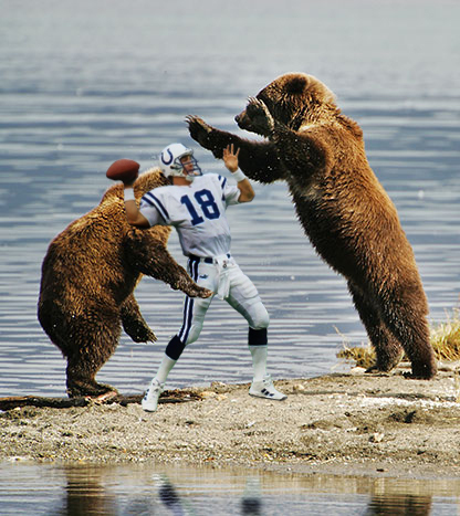  bears attacking peyton manning