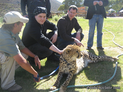  good charlotte in South Africa