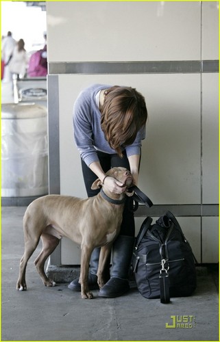  sophia with her pitbull 'patch