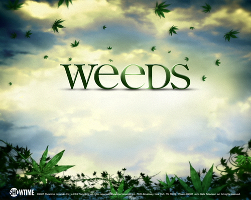  weeds দেওয়াল
