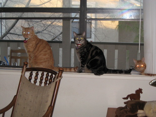  Gilbert, Isabella, Colby