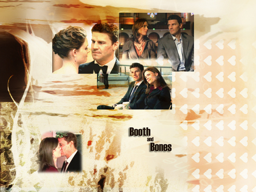  Booth & बोन्स (Bones)