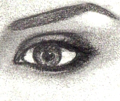  Eyes