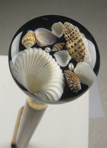  Seashell Handled Cane