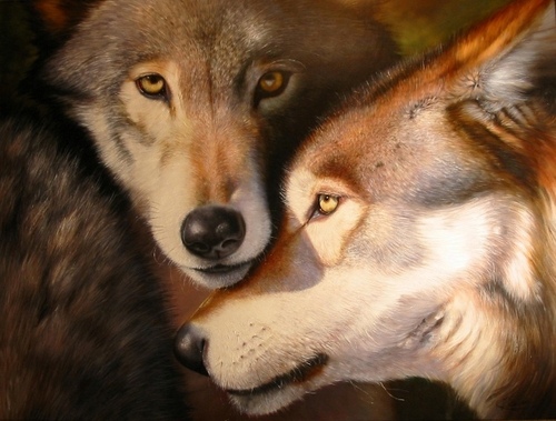  волк Couple