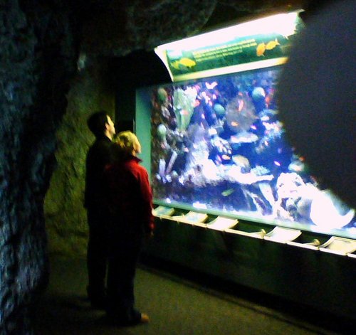  Hayden and Milo at the Aquarium of the Pacific in Long bờ biển, bãi biển
