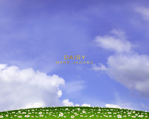  madeliefje, daisy door Marc Jacobs