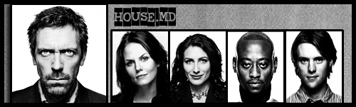 Dr. House - Medical Division