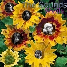  The Sounds in sunflowers