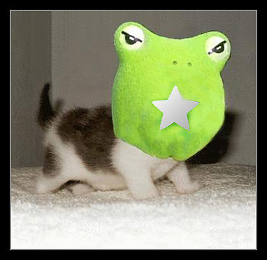 cat frog and fanpop?