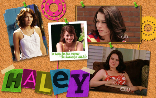  Haley
