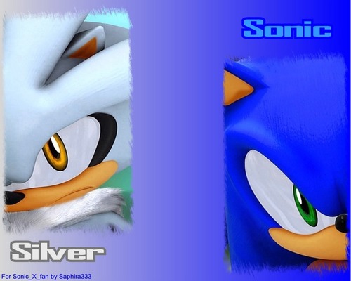  Sonic and Silver