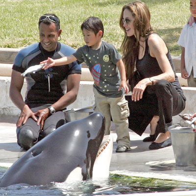  Angelina Jolie with kids & orca