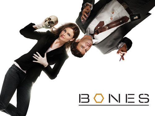  BONES（ボーンズ）-骨は語る- and Booth