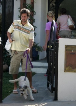  Katherine Heigl: walking the dog : )