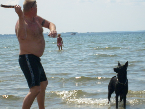  Dog пляж, пляжный in Sweden