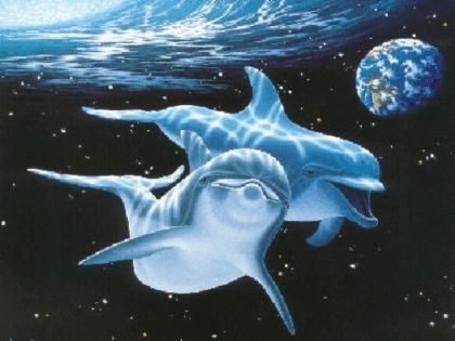 Dream Symbolism: Cetaceans aka Dolphins and Whales