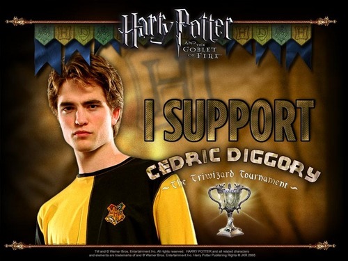  I support Cedric Diggory