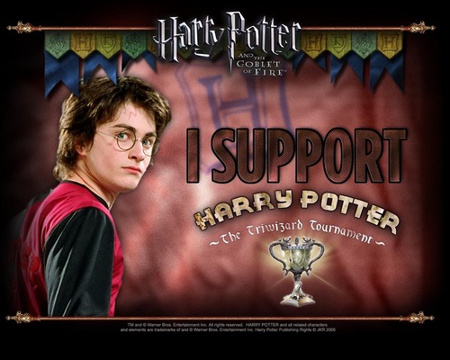 I support Harry Potter