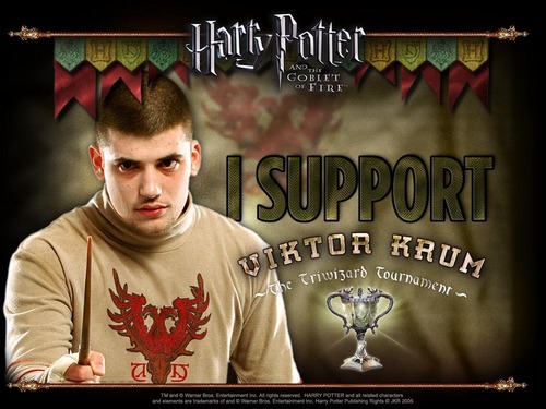  I support Viktor Krum