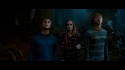  In the order of Phoenix