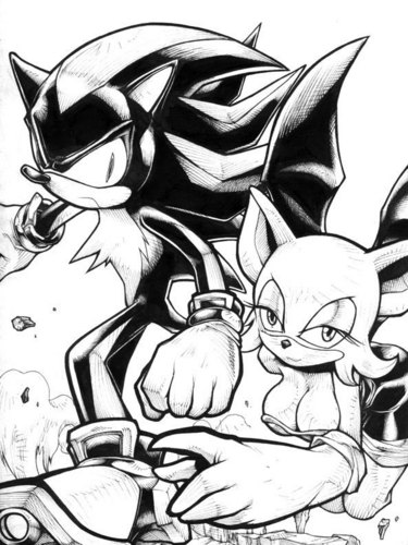 Shadow and Rouge