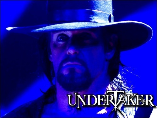 Undertaker x