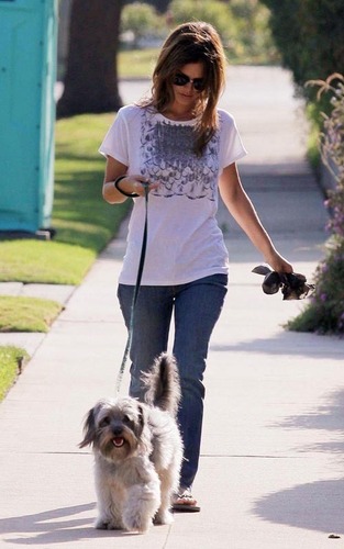  Rachel Walking Her perros