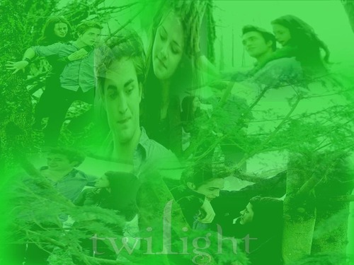  Twilight-Bella Edward