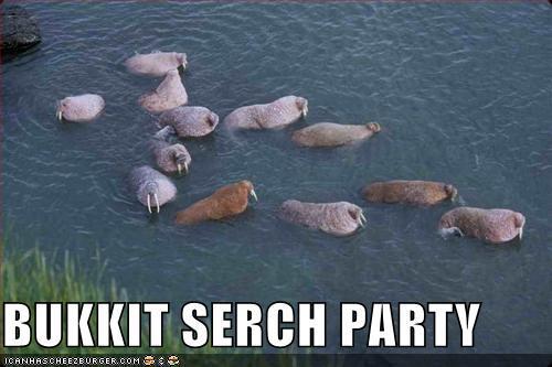 Bukkit Search Party