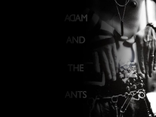  Adam Ant