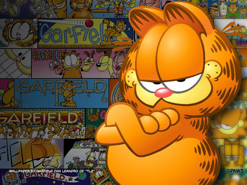  Garfield karatasi za kupamba ukuta