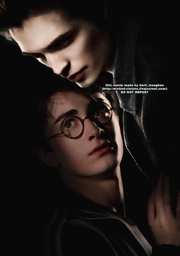  Harry/Cedric