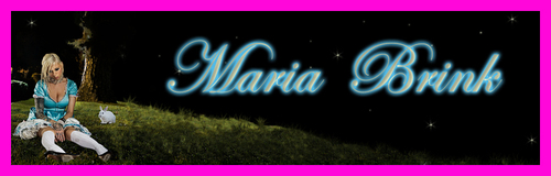  Maria Brink banner