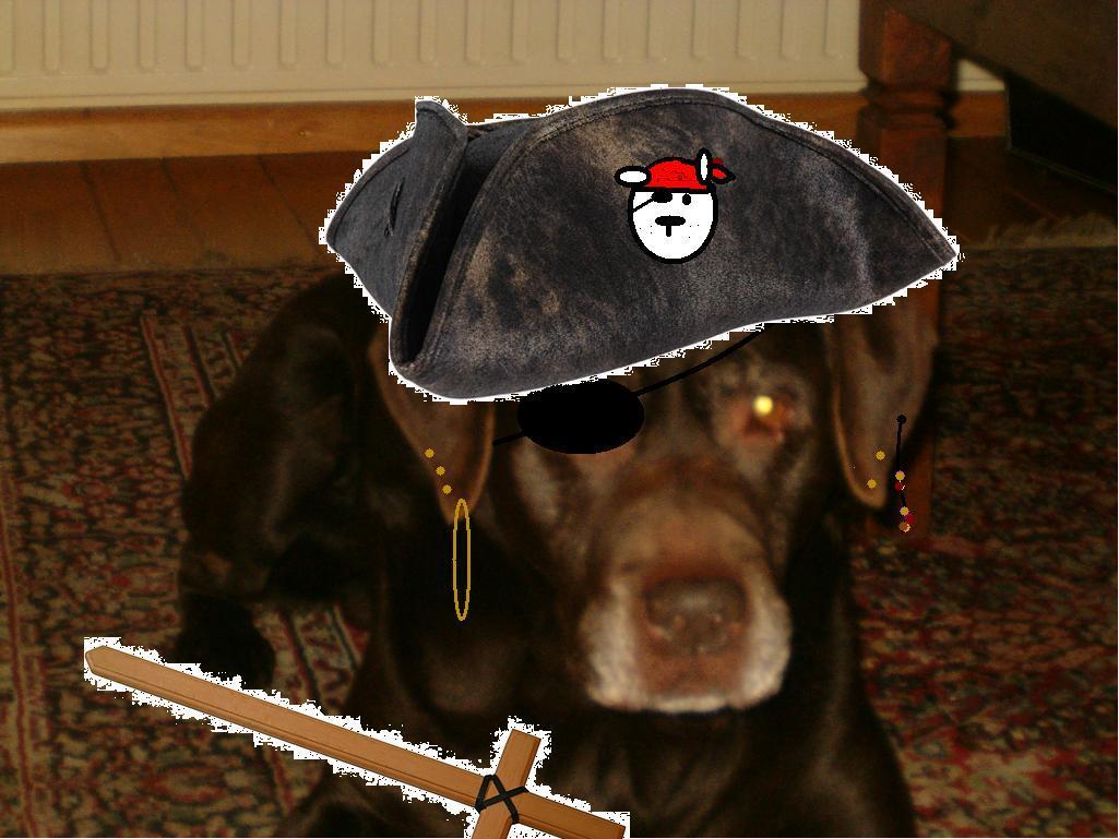 Nelson the black pirate