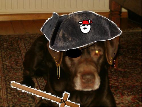  Nelson the black pirate