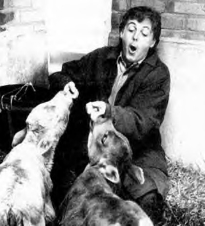  Sir Paul and his Friends
