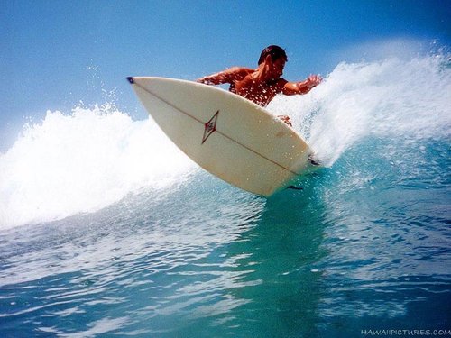  surfs up