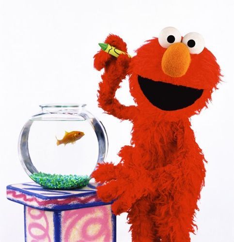  Elmo & his goldfish
