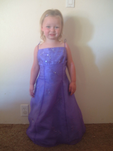  My daughter dressed up like a princess