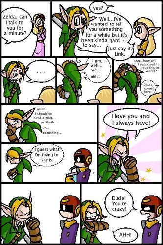 You'er Not Zelda 