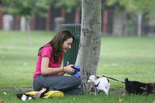  Emmy playing with her कुत्ता in the park