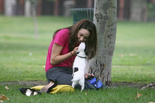  Emmy playing with her anjing in the park