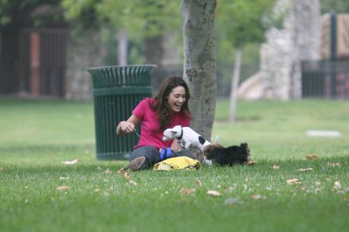  Emmy playing with her Hunde in the park