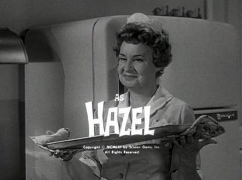  Hazel