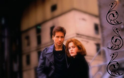  Mulder & Scully hình nền