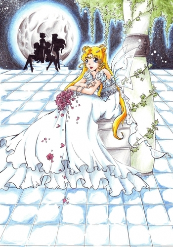  Sailor Moon pictures