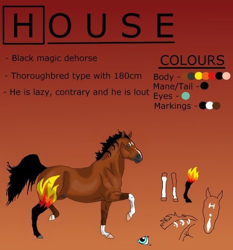  The House MD cast as horses