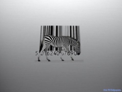  Bar Code zebra, kuda belang